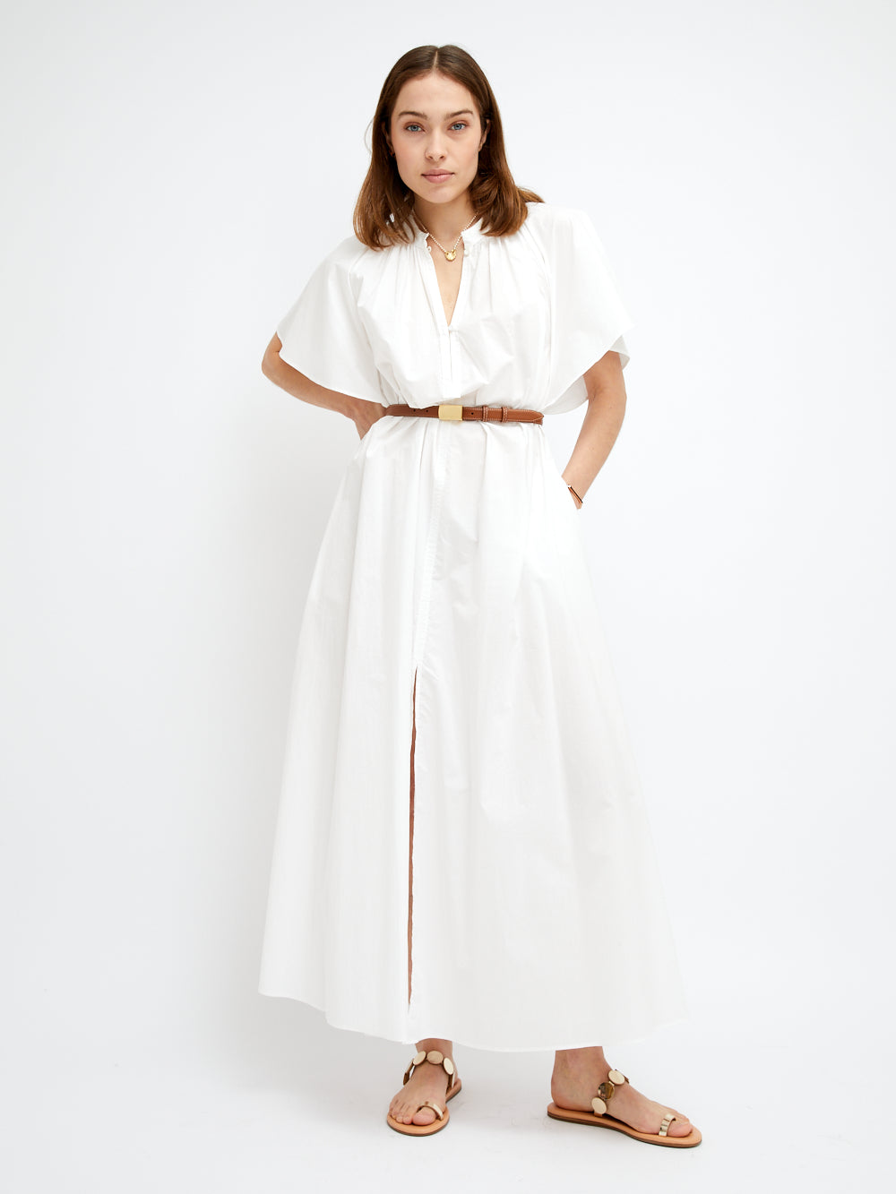 CLASSIC HAVANA BELT