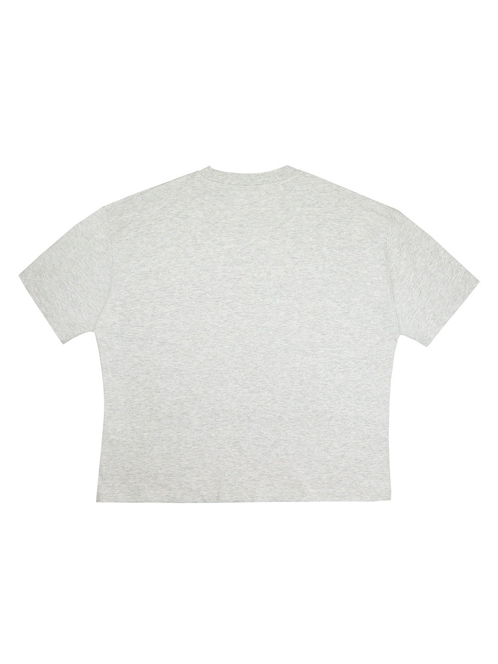 TEE SHIRT DIVINE LIGHT GRIS