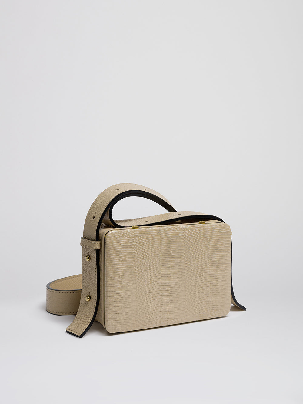 SAC MAYA SAND LIZARD