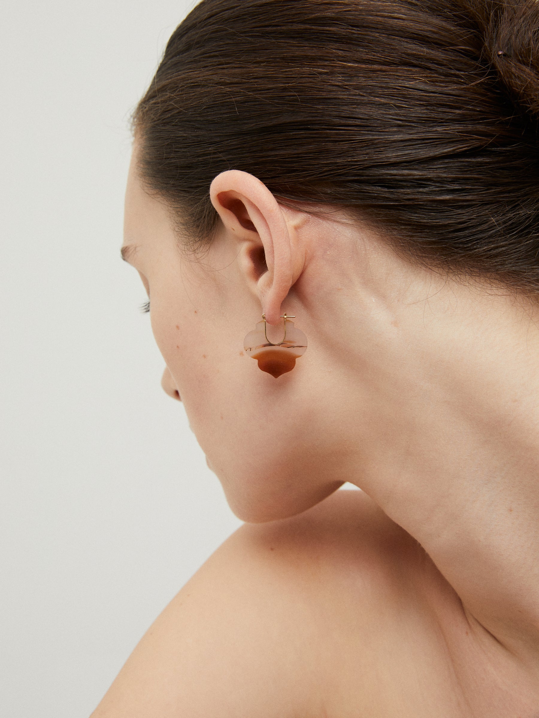 Crest Moroccan Landscape Agate Earrings