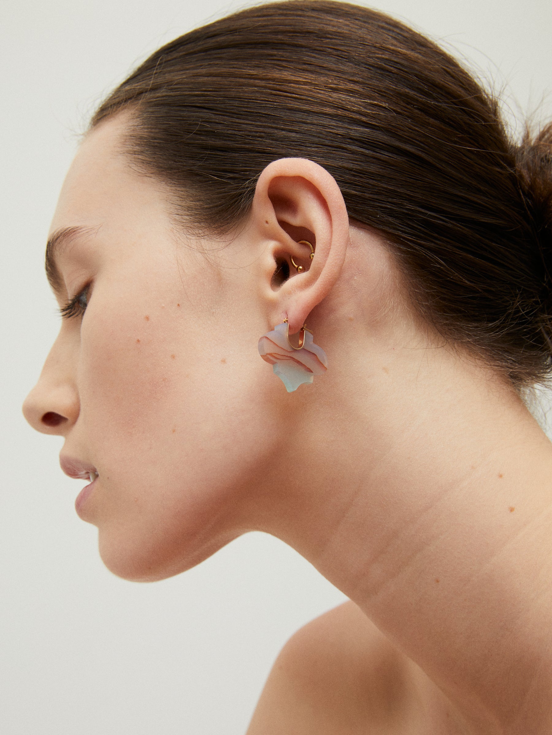 CREST ARABESQUE AGATE LANDSCAPE EARRINGS