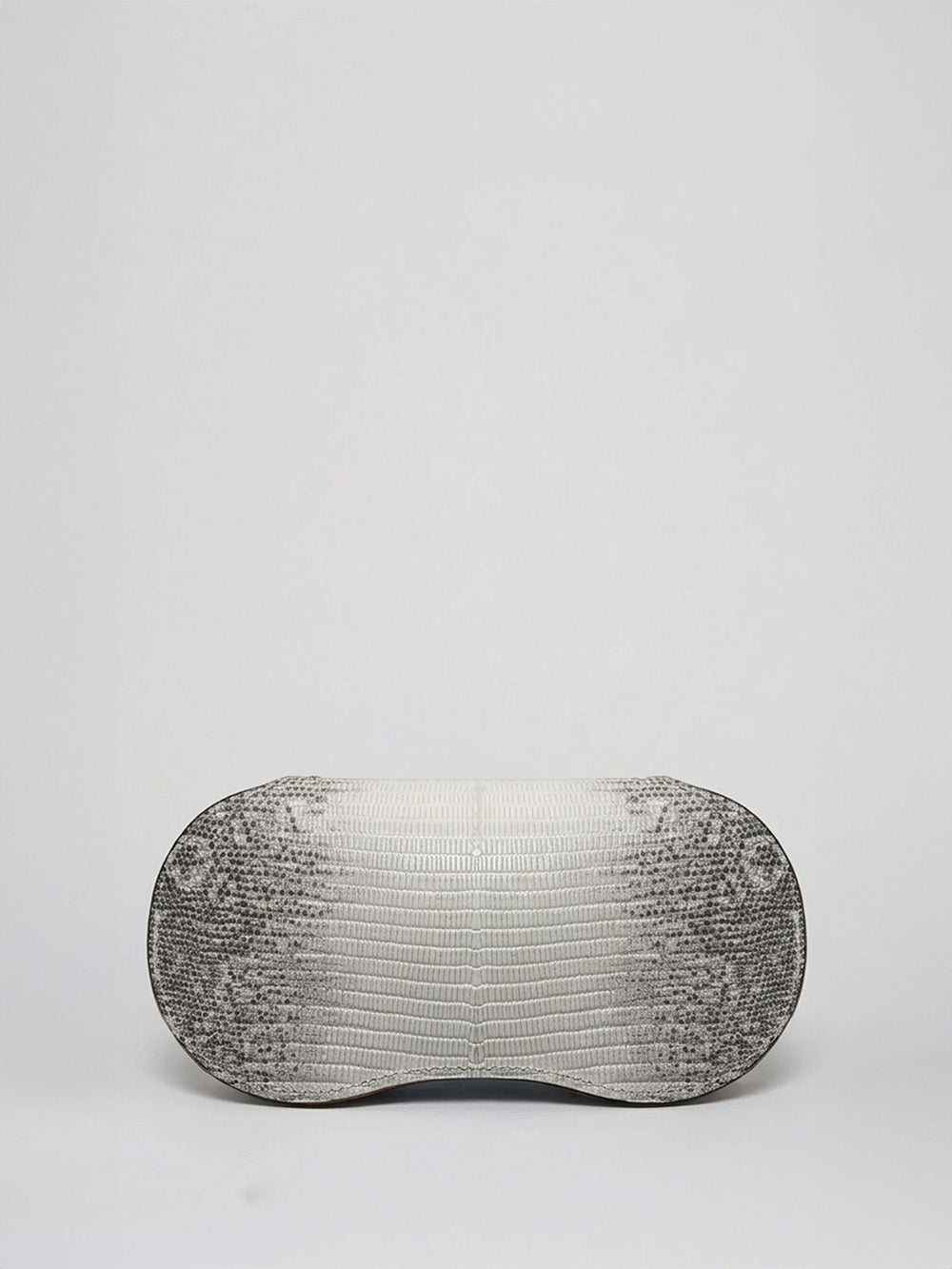 COLLINS LEZARD EYEGLASSES CASE