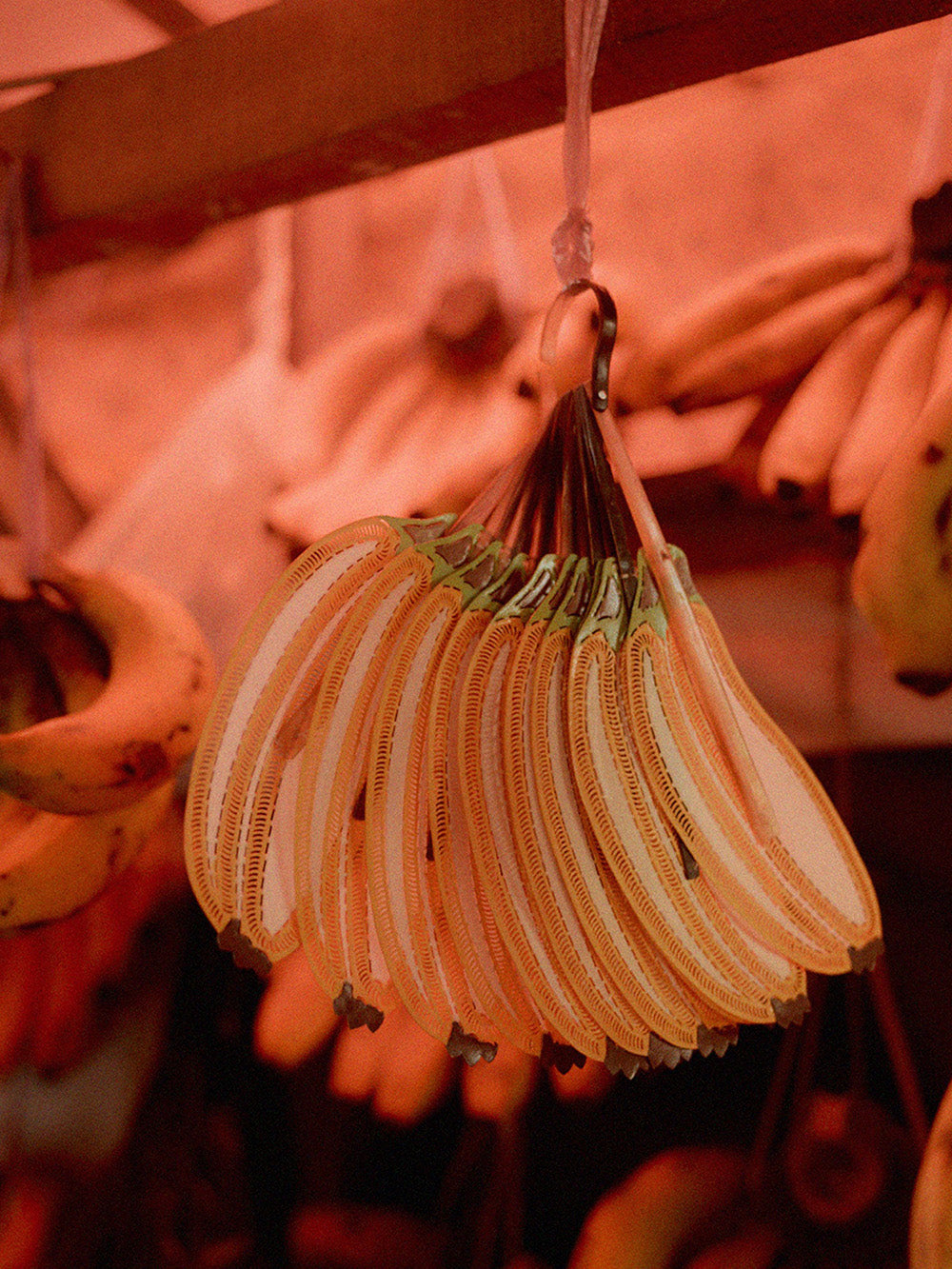 ÉVENTAIL BANANE