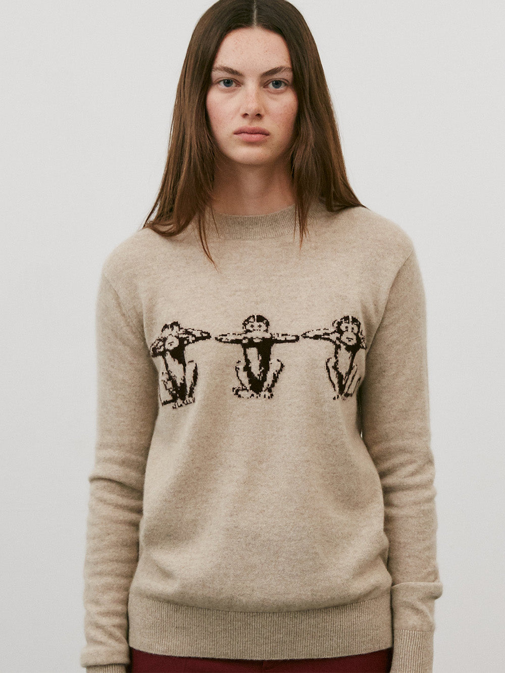 PULL N°86 SINGES DE LA SAGESSE