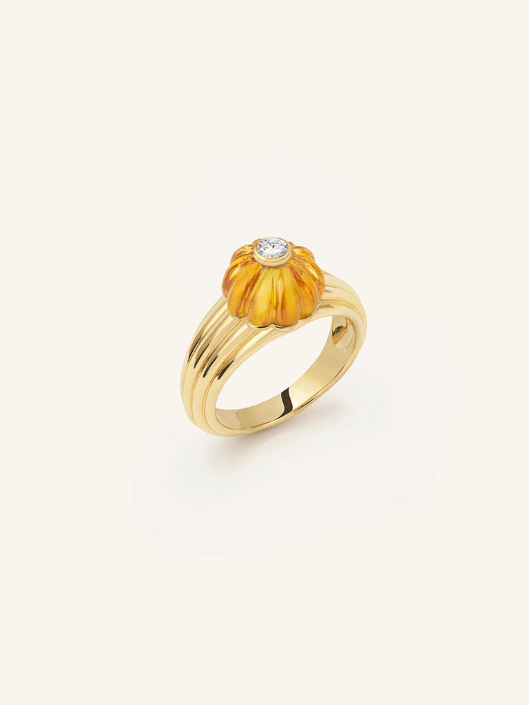 Image carousel complétez le look