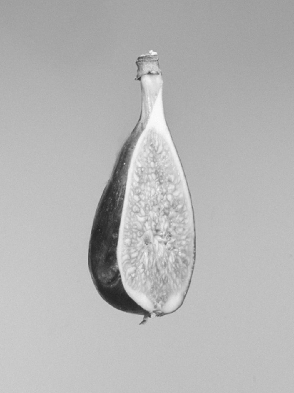 ASTROLOGY CANDLE LIBRA WILD FIG