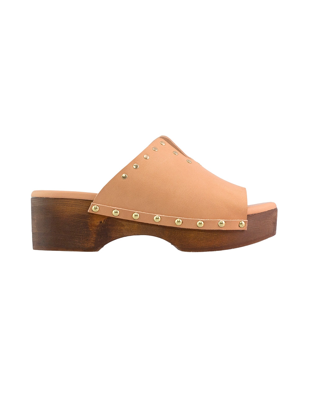 SAGINI CLOG