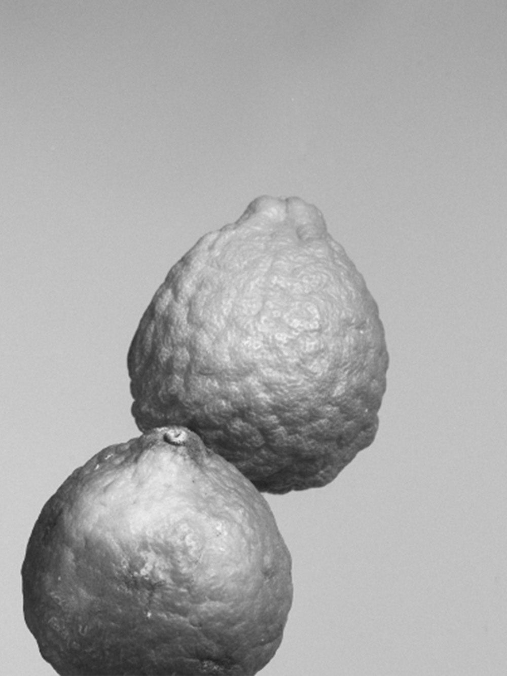 PISCES ASTROLOGY CANDLE